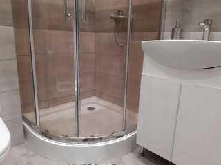 Апартаменты 1 stop from Railway Station Киев Апартаменты с 1 спальней-14