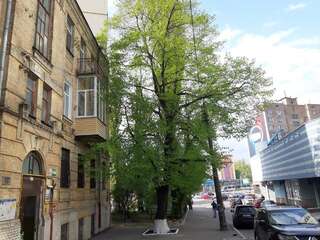 Апартаменты 1 stop from Railway Station Киев Апартаменты с 1 спальней-17