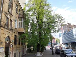 Апартаменты 1 stop from Railway Station Киев Апартаменты с 1 спальней-22