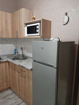 Апартаменты 1 stop from Railway Station Киев Апартаменты с 1 спальней-6